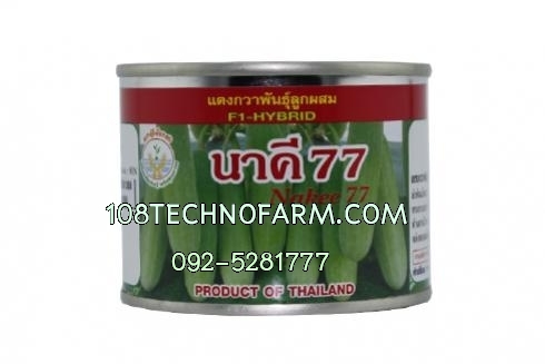 แตงกวานาคี 77 