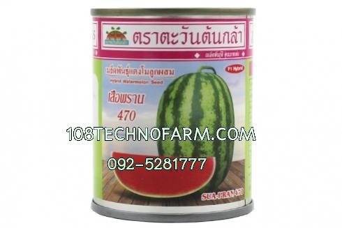 แตงโมเสือพราน 470 40 กรัม