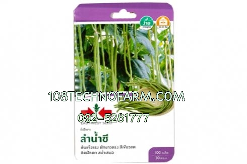 ถั่วฝักยาวลำน้ำชี 100 เมล็ด