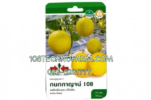 แคนตาลูปกนกกาญน์ 15 เมล็ด