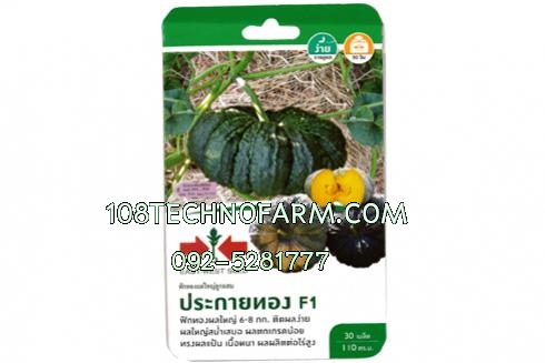 ฟักทองประกายทอง  ซอง/100g