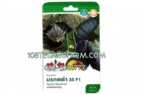 ฟักทอง มรกตดำ 35 30เมล็ด/100g.