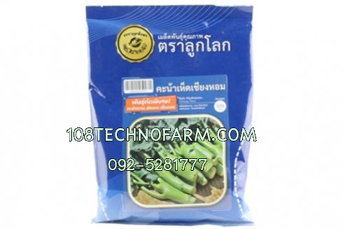 คะน้า เห็ดเชียงหอม 500 กรัม