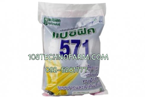 ข้าวโพดฝักอ่อน แปซิฟิค 571